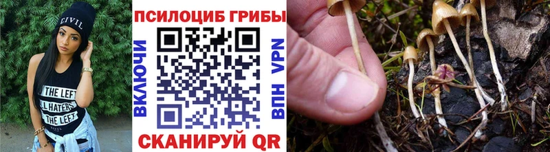 Галлюциногенные грибы Cubensis сколько стоит кракен маркетплейс Алупка